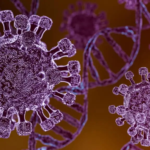 OMS confirma nuevo caso sospechoso de hantavirus en el crucero MV Hondius